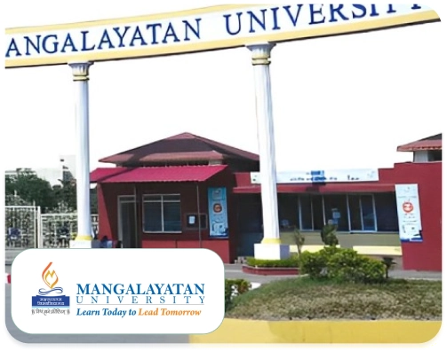 Undergraduate Online Programs | Mangalayatan University