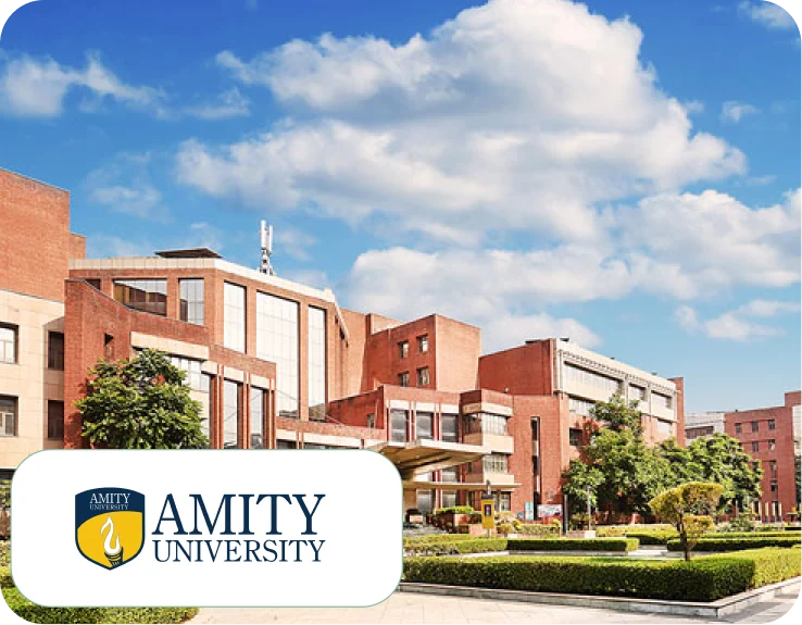 Amity University Online MBA